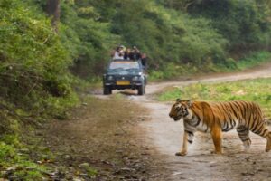 Satkosia Tiger Reserve