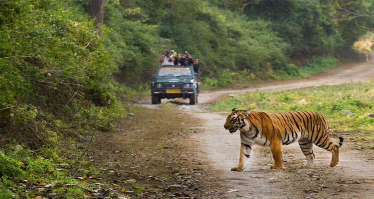 Satkosia Tiger Reserve