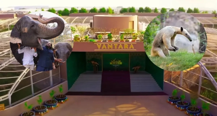 Vantara Wildlife